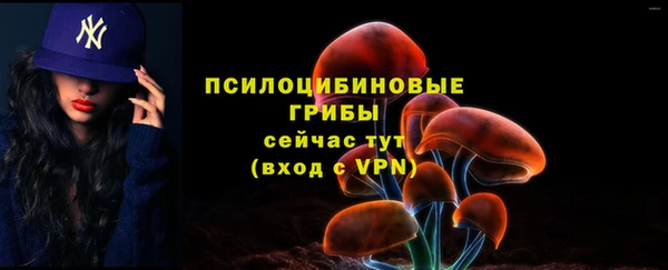 прущие грибы Армянск