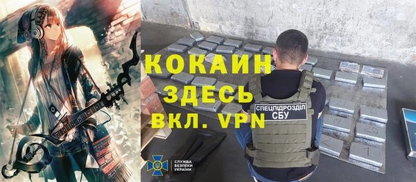прущие грибы Армянск