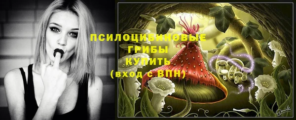 первитин Арсеньев