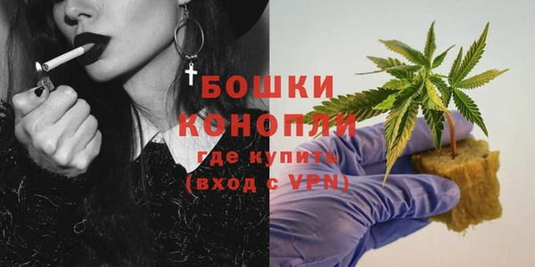 прущие грибы Армянск