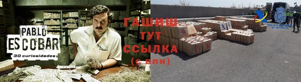 прущие грибы Армянск