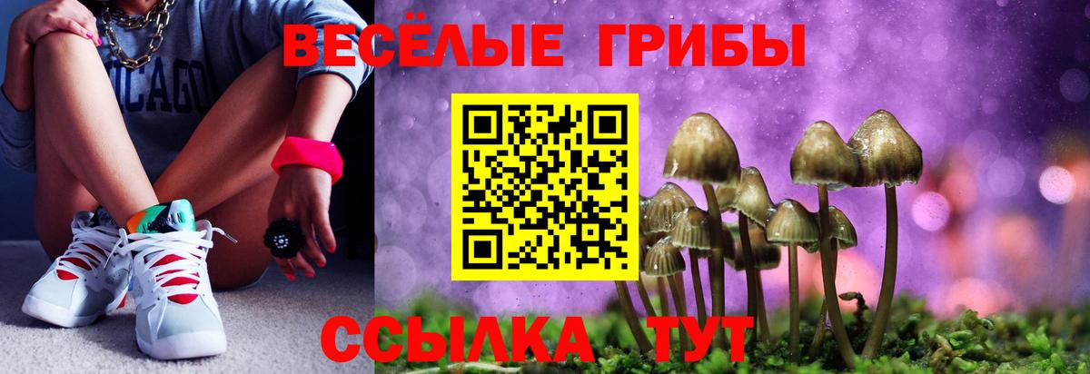 где продают   Галлюциногенные грибы мицелий  Вход с VPN  Одинцово 